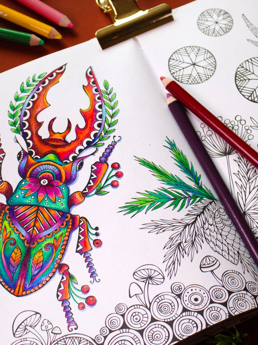 land coloring book showcase 4